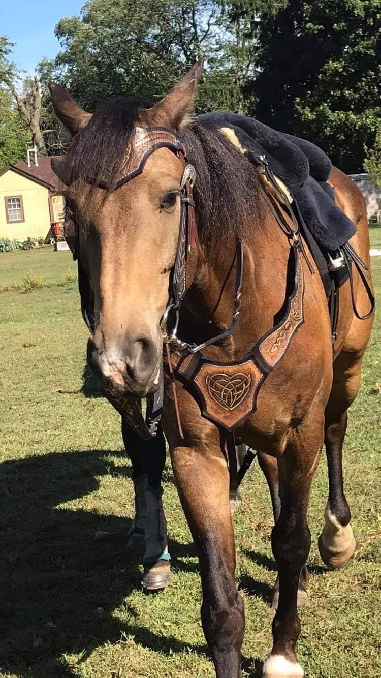 Leather Horse Medieval Set Celtic