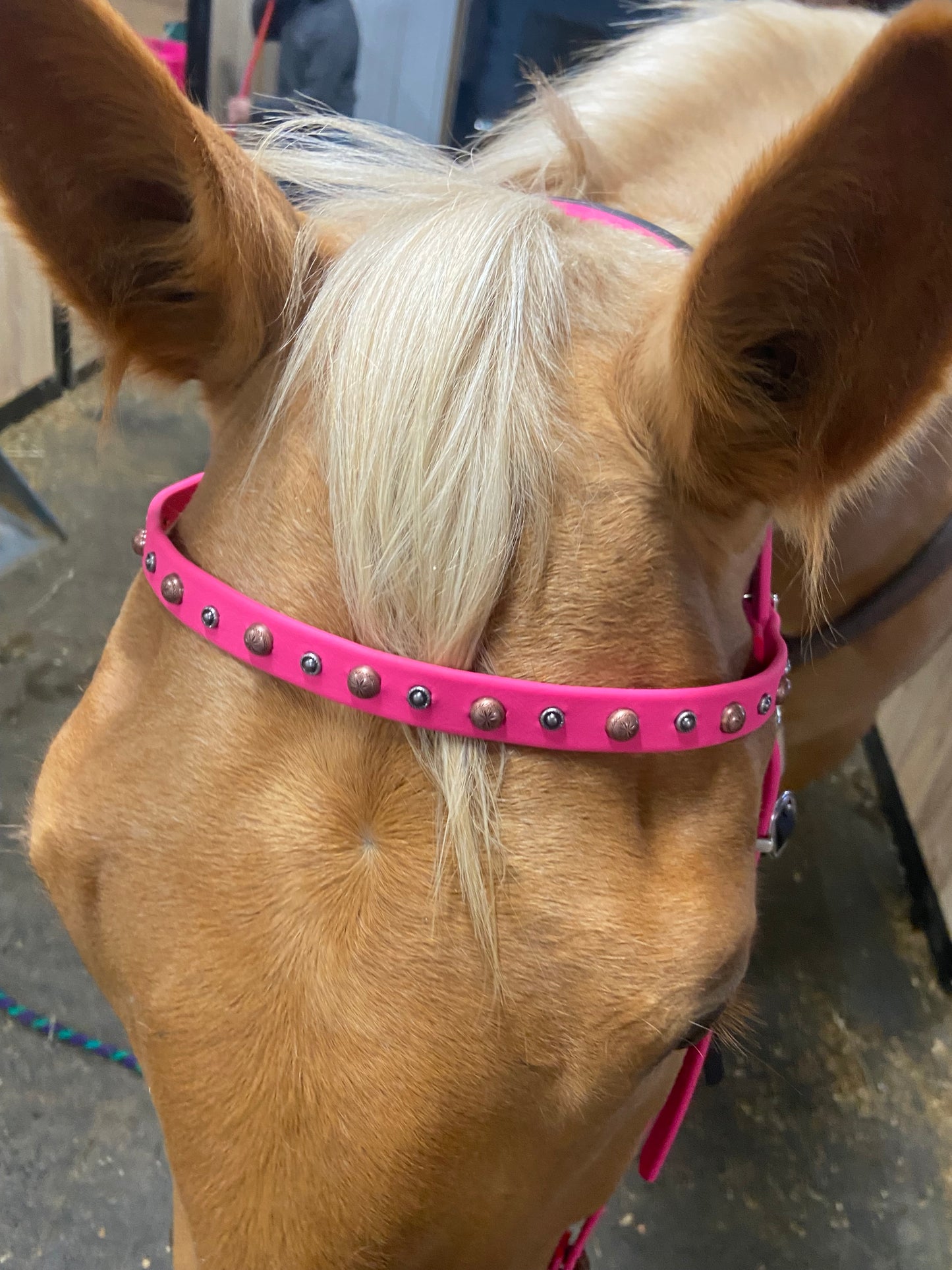 Biotane Headstall pink super heavy