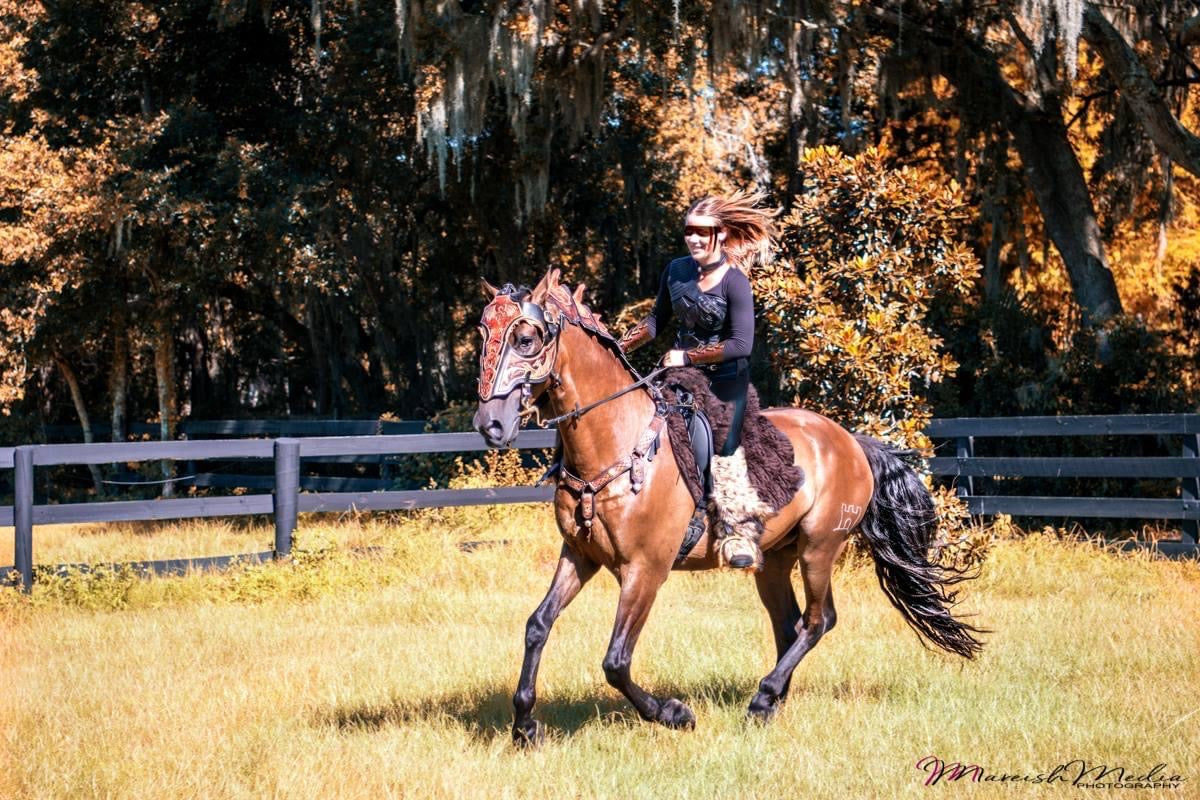 Game of Throne horse Armor