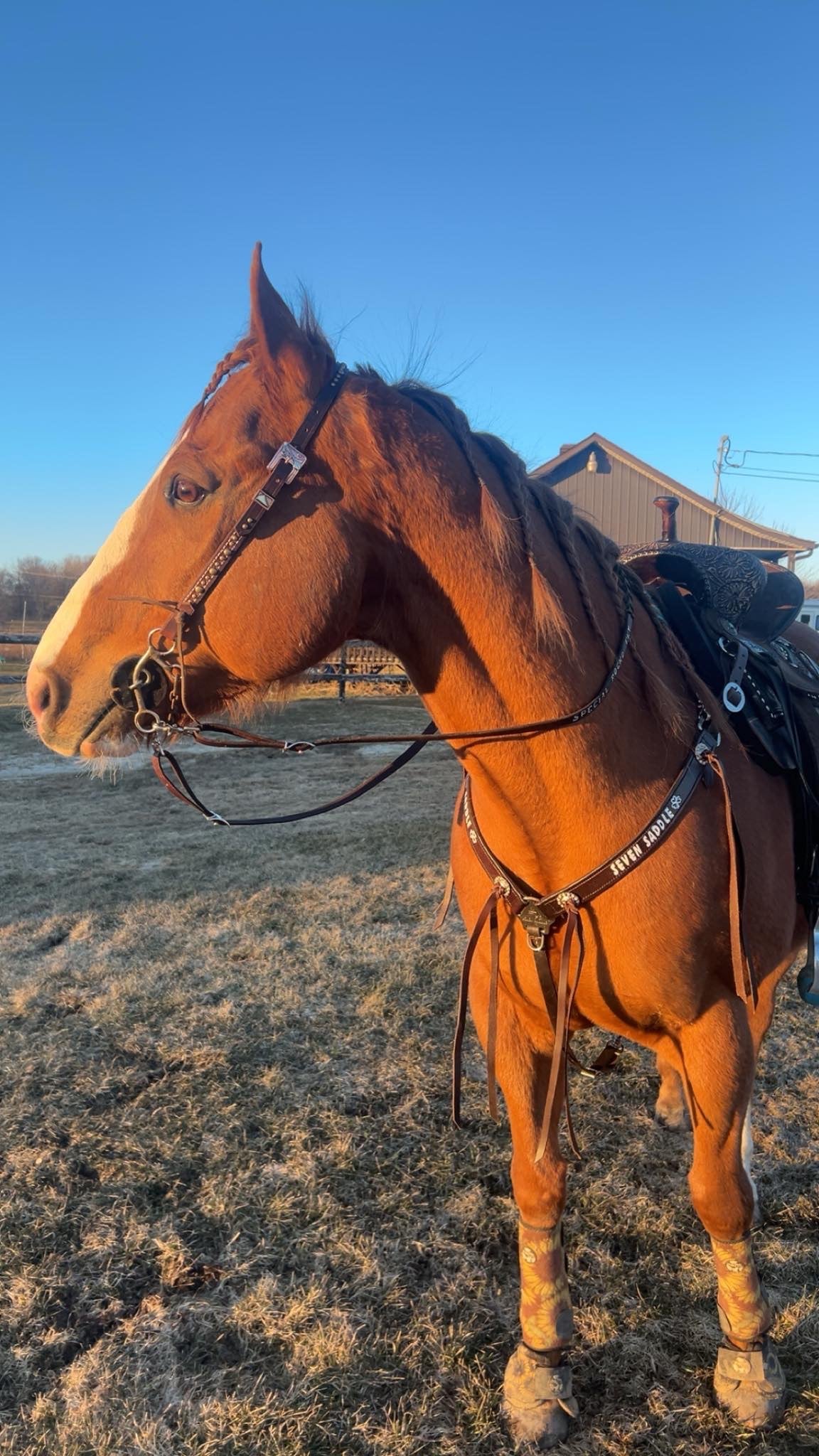 Custom made Barrel Reins with horse name