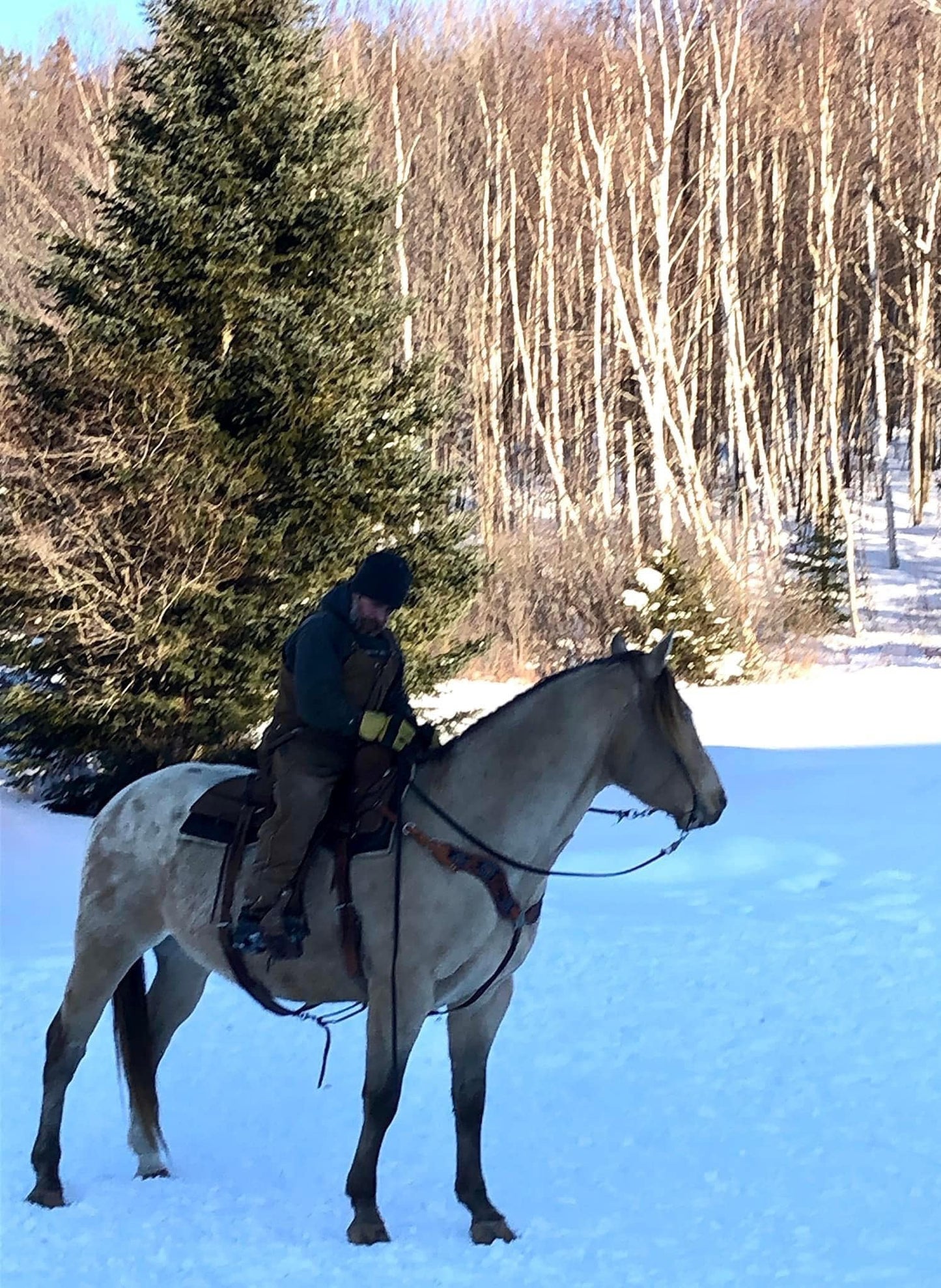 Leather Horse Set Sunflower