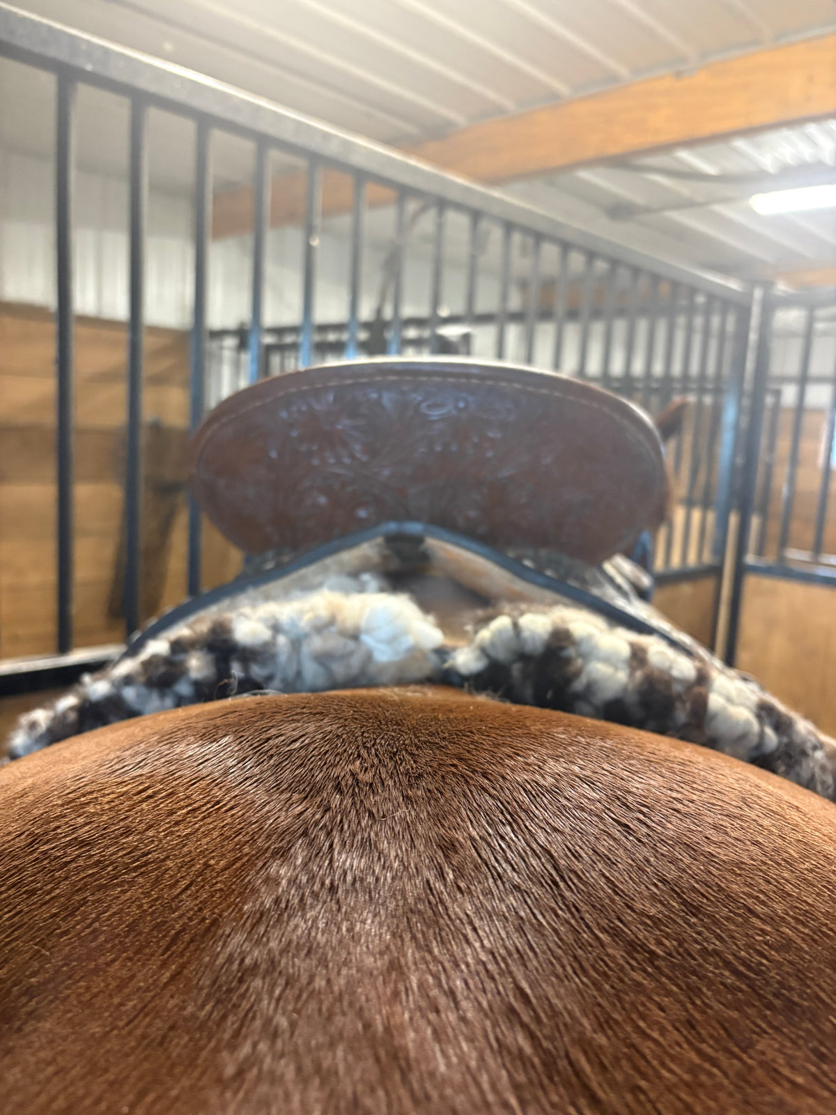 Wool Saddle Pad Tapis de laine tiré