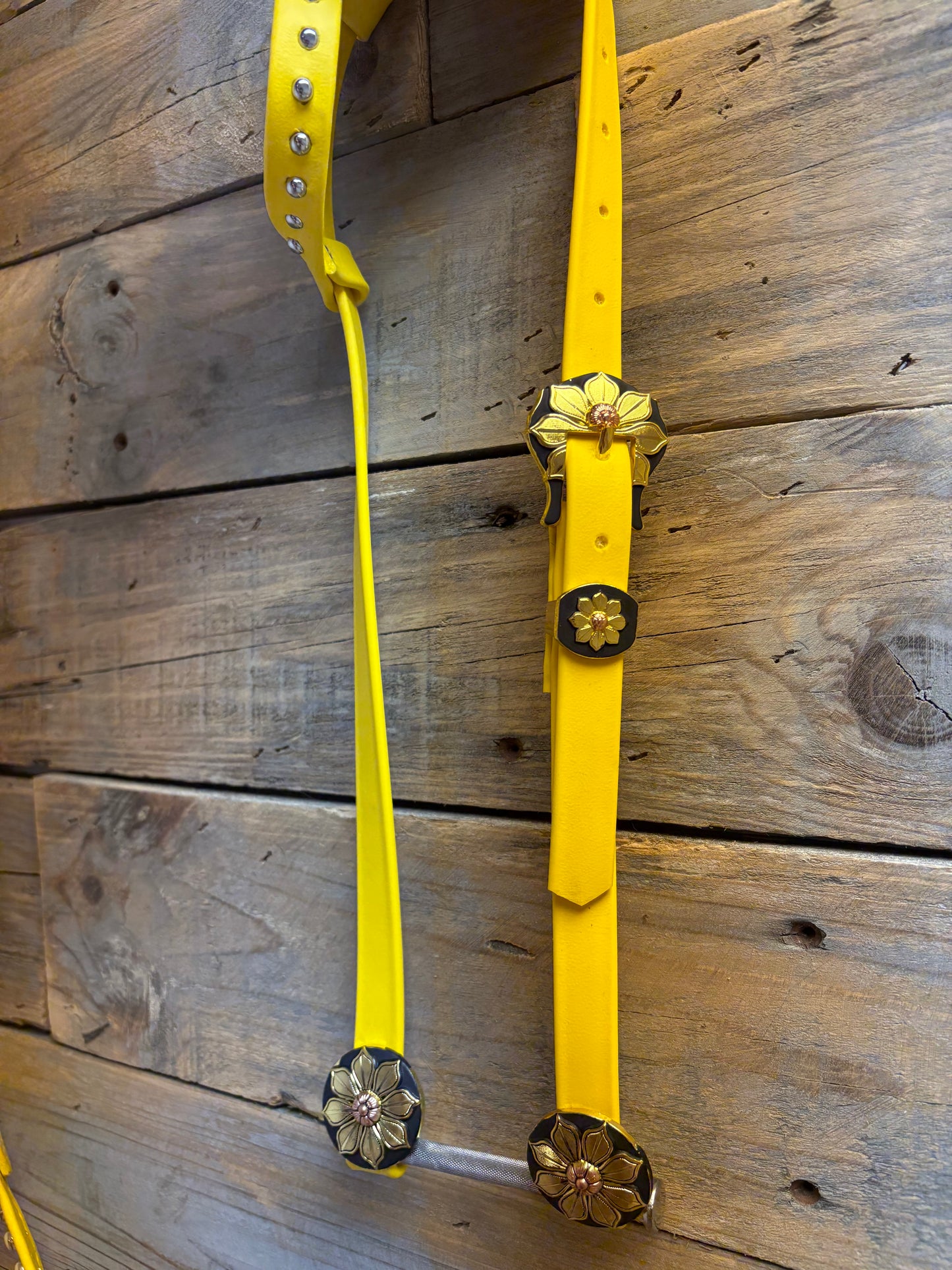 Bride & Breast Collar Headstall + Breast plate