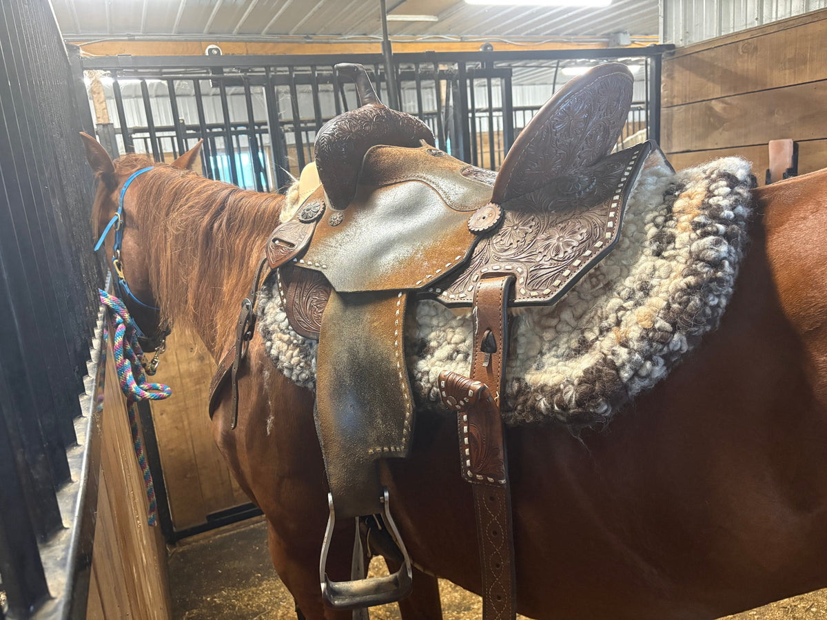 Wool Saddle Pad Tapis de laine tiré