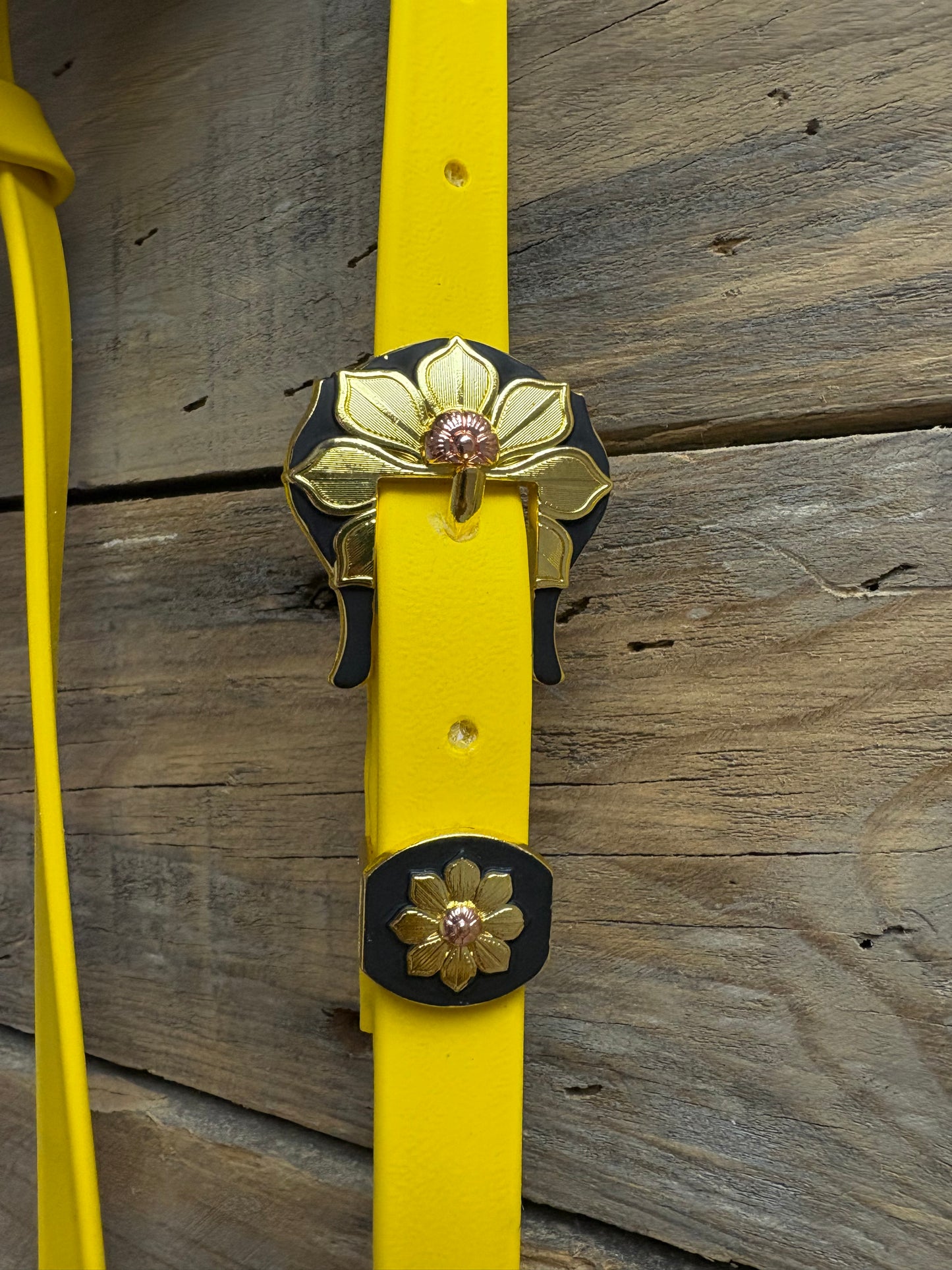 Bride & Breast Collar Headstall + Breast plate