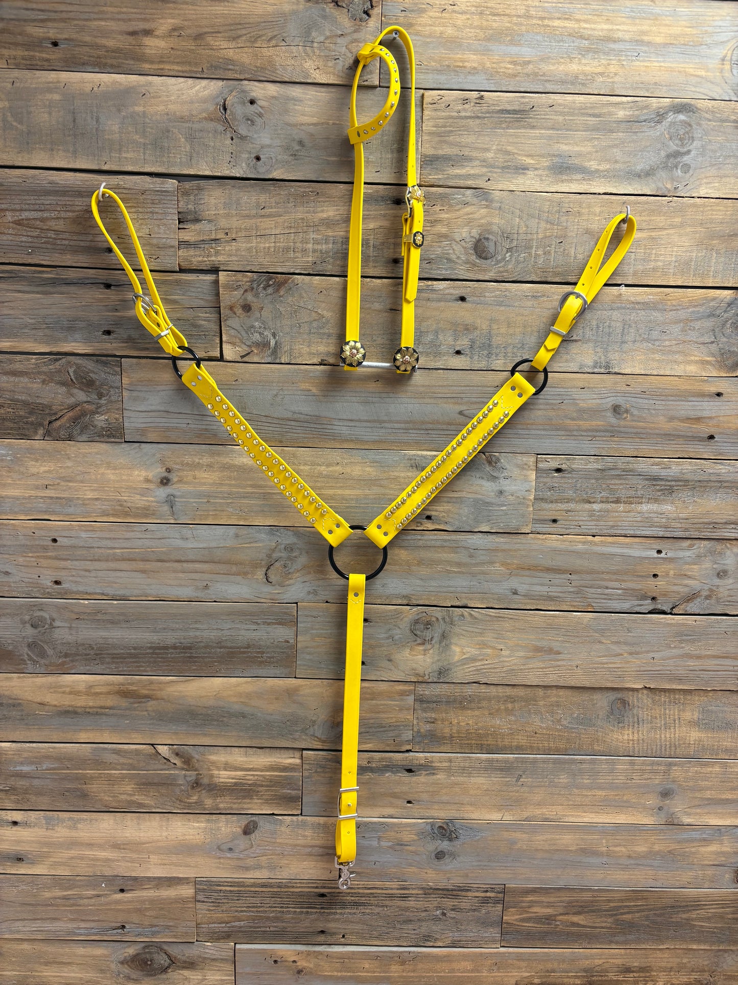 Bride & Breast Collar Headstall + Breast plate
